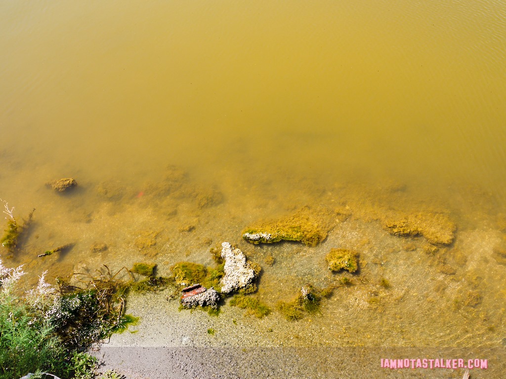 The Salton Sea (8 of 30)
