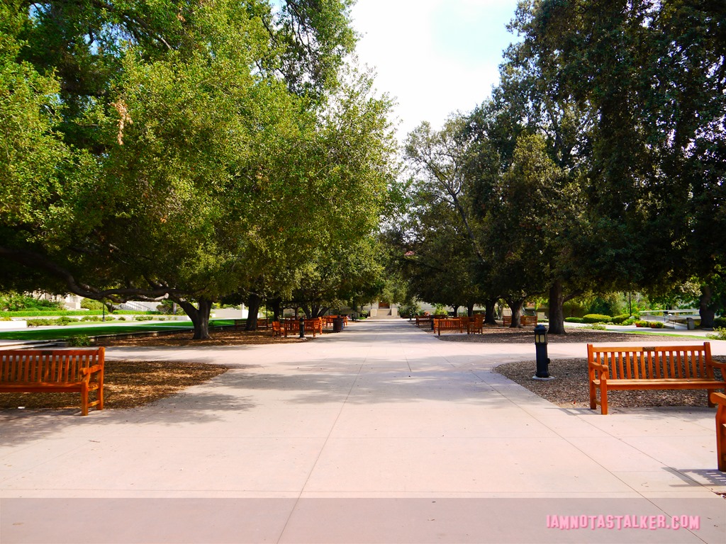 Clueless Occidental College (5 of 22)