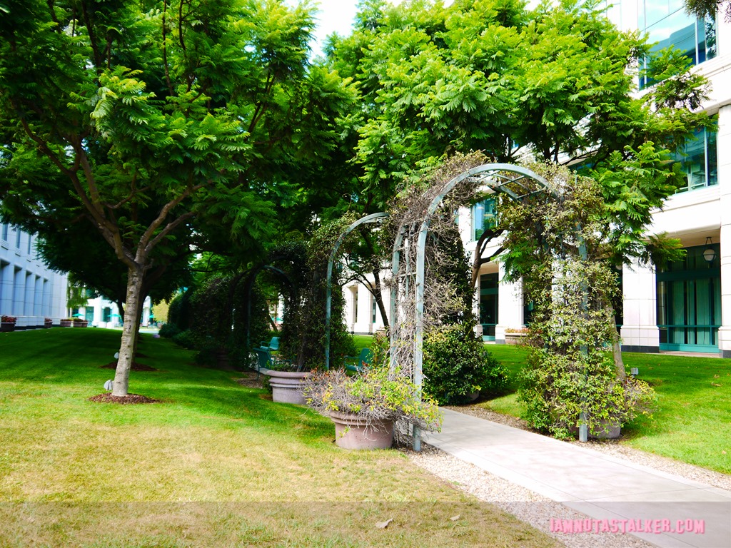 The Water Garden Santa Monica A to Z (8 of 14)