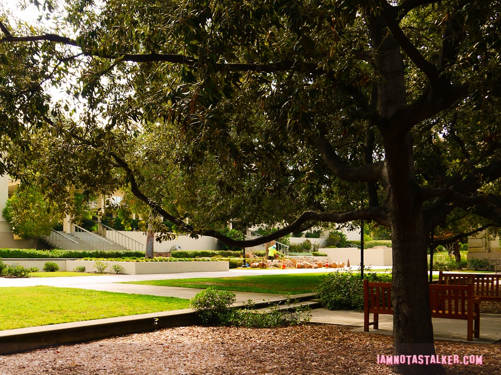 Clueless filming Occidental (1 of 4)