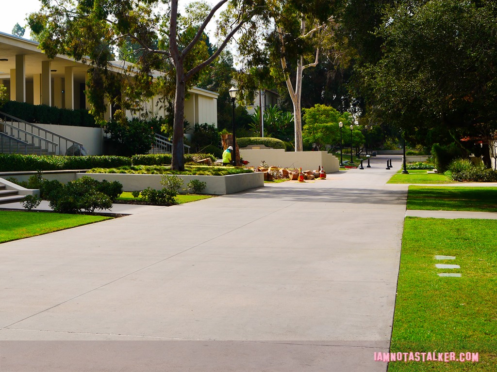 Clueless filming Occidental (2 of 4)