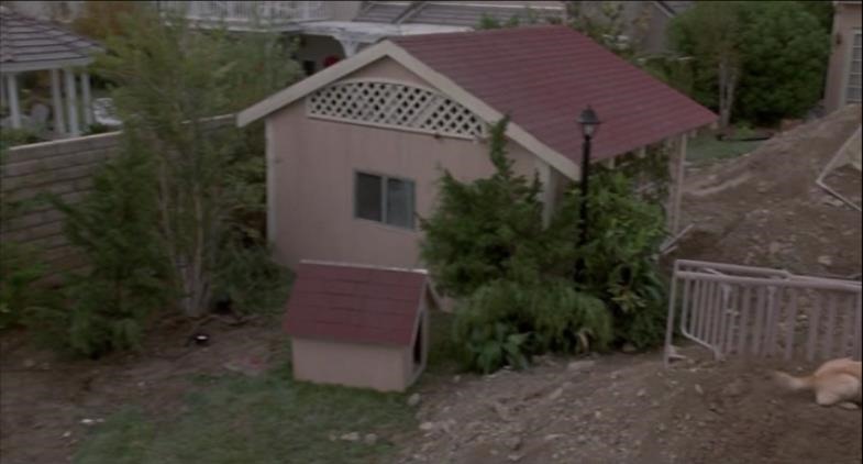 ScreenShot447