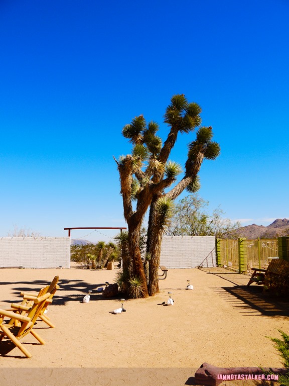 Joshua Tree Inn Gram Parsons (5 of 19)