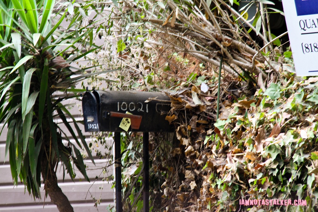 Yvette Vickers House (6 of 7)