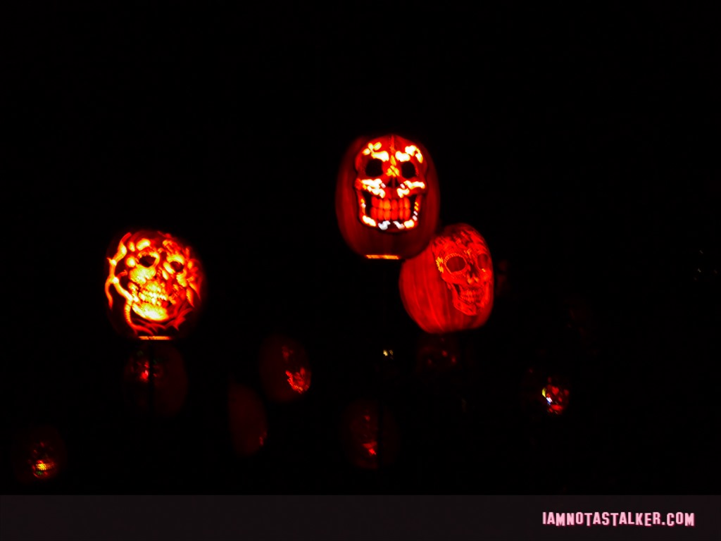 RISE of the Jack O'