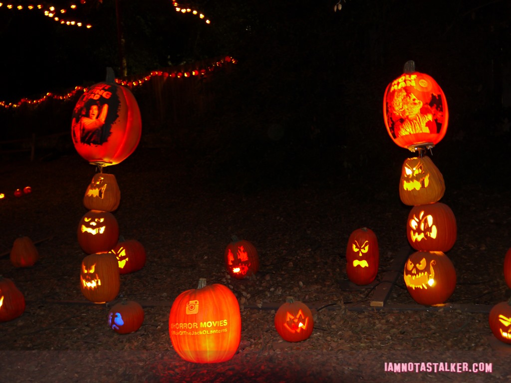 RISE of the Jack O'