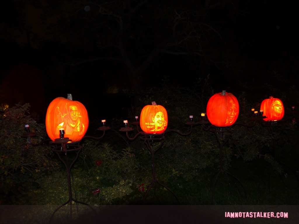 RISE of the Jack O'