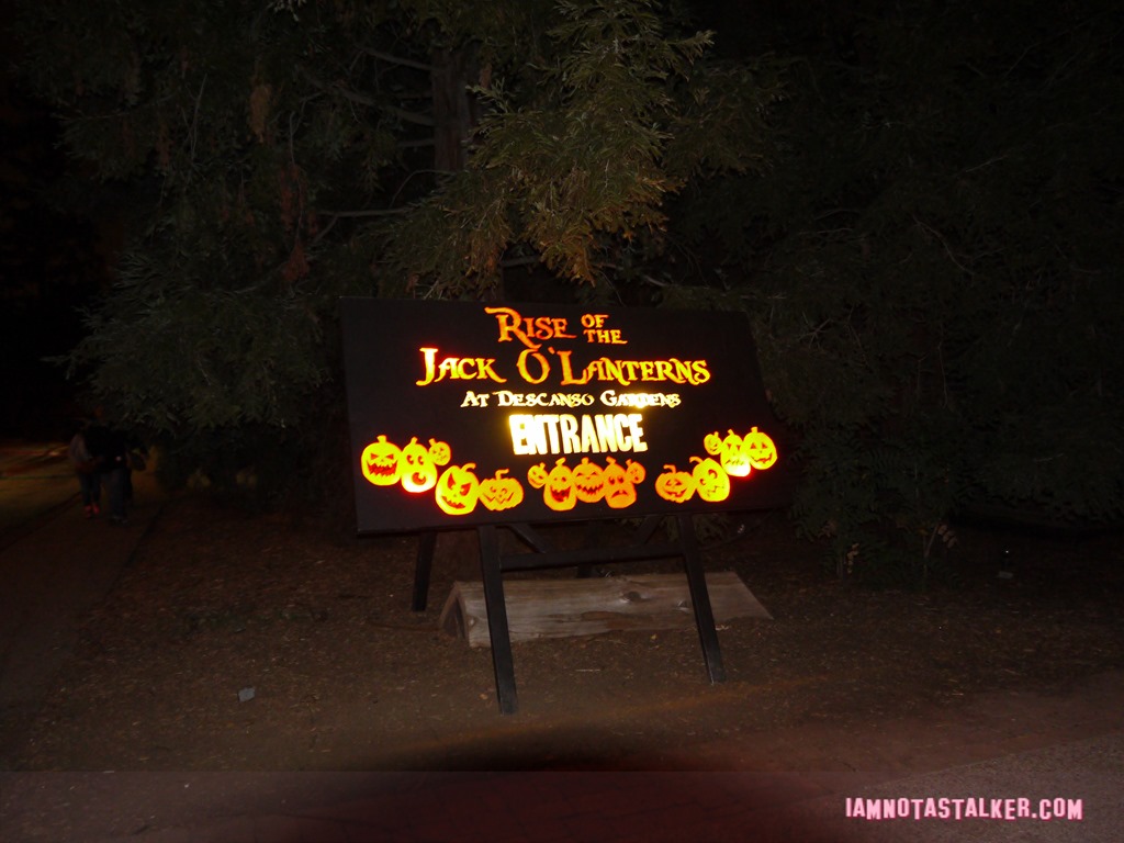 RISE of the Jack O'