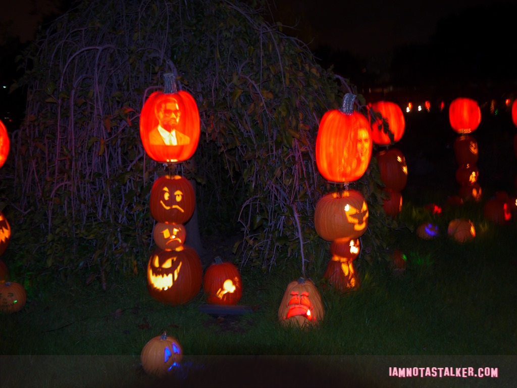 RISE of the Jack O'