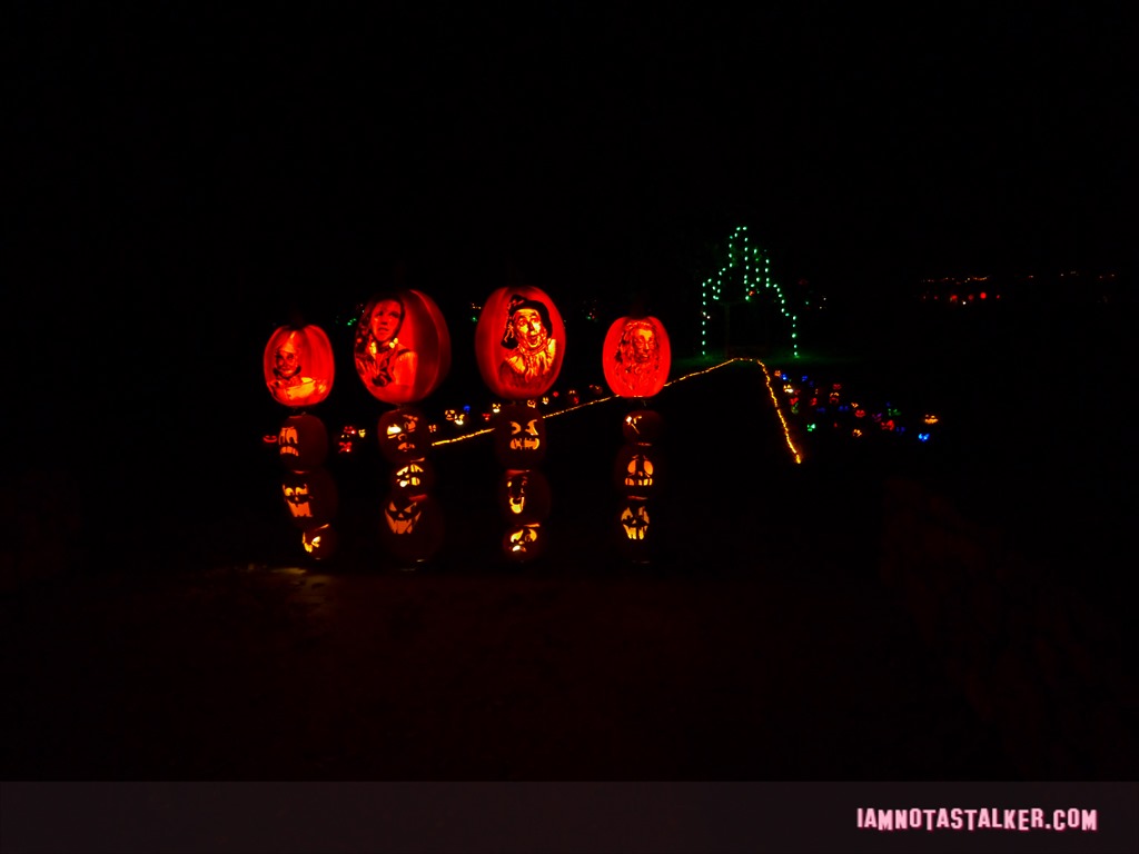 RISE of the Jack O'
