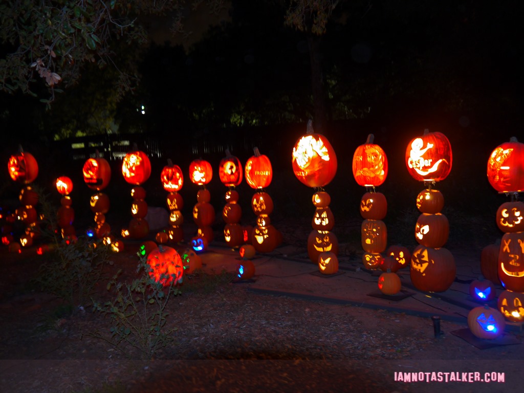 RISE of the Jack O'