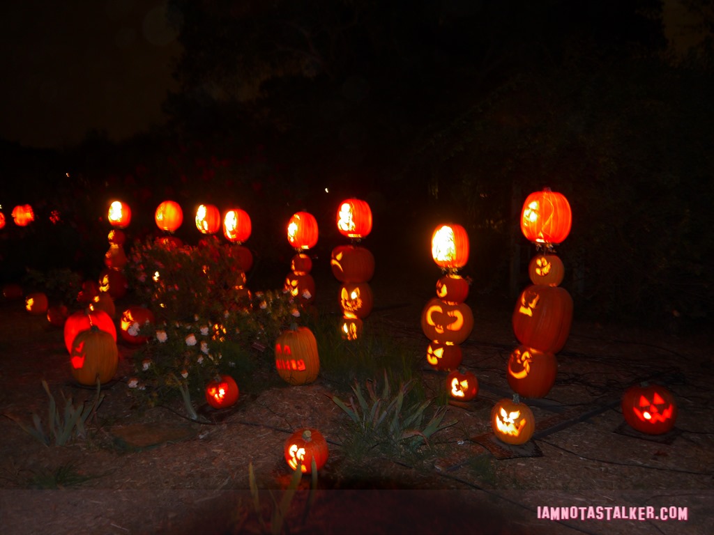 RISE of the Jack O'