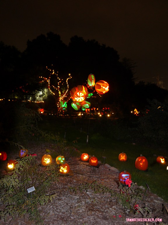 RISE of the Jack O'