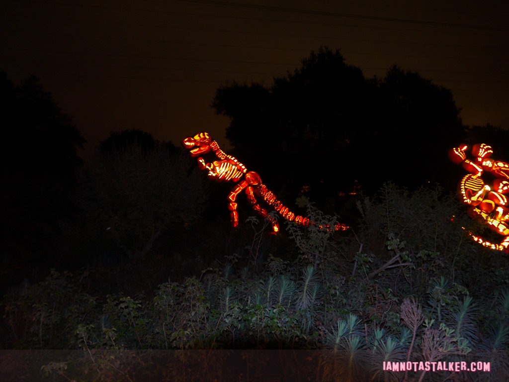 RISE of the Jack O'
