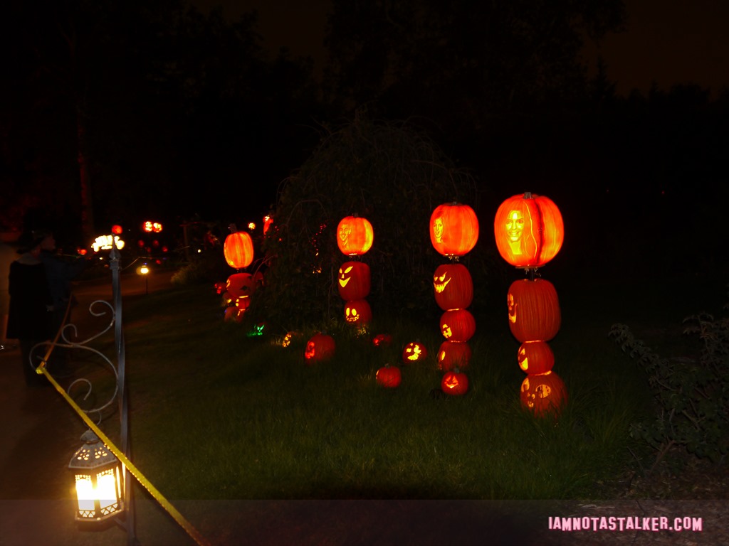 RISE of the Jack O'