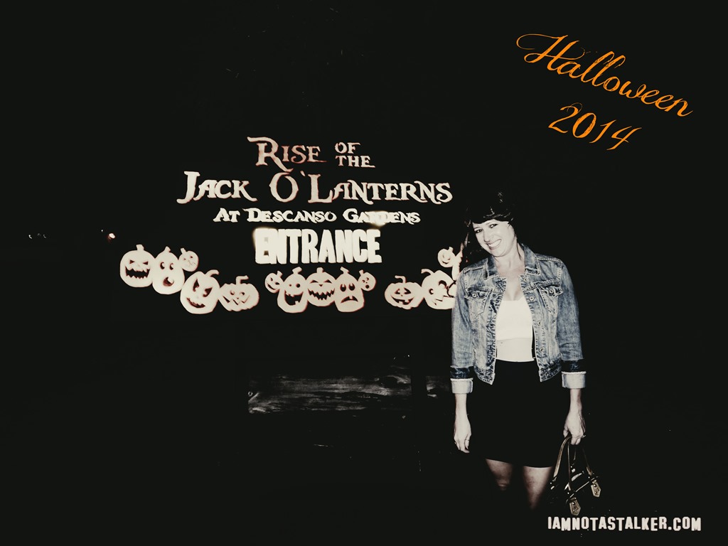 RISE of the Jack O'