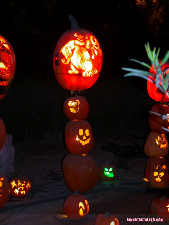 RISE of the Jack O'