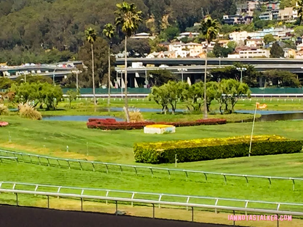 Golden Gate Fields Berkeley (6 of 6)