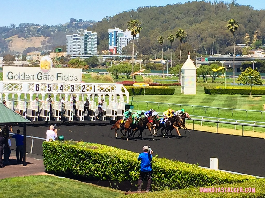 Golden Gate Fields Berkeley (3 of 6)