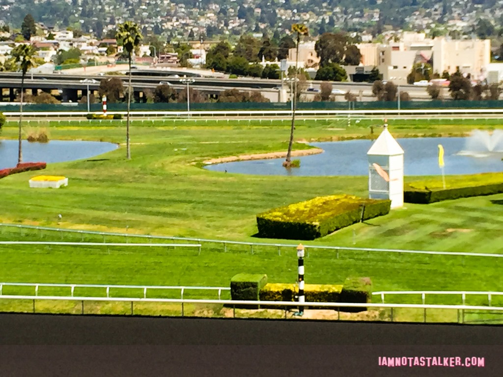 Golden Gate Fields Berkeley (1 of 6)