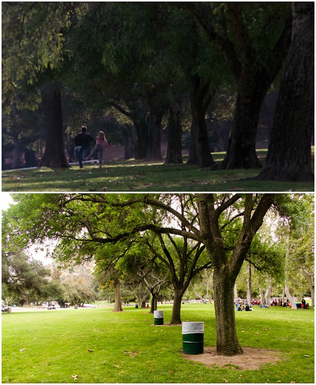 GJWTHF Park