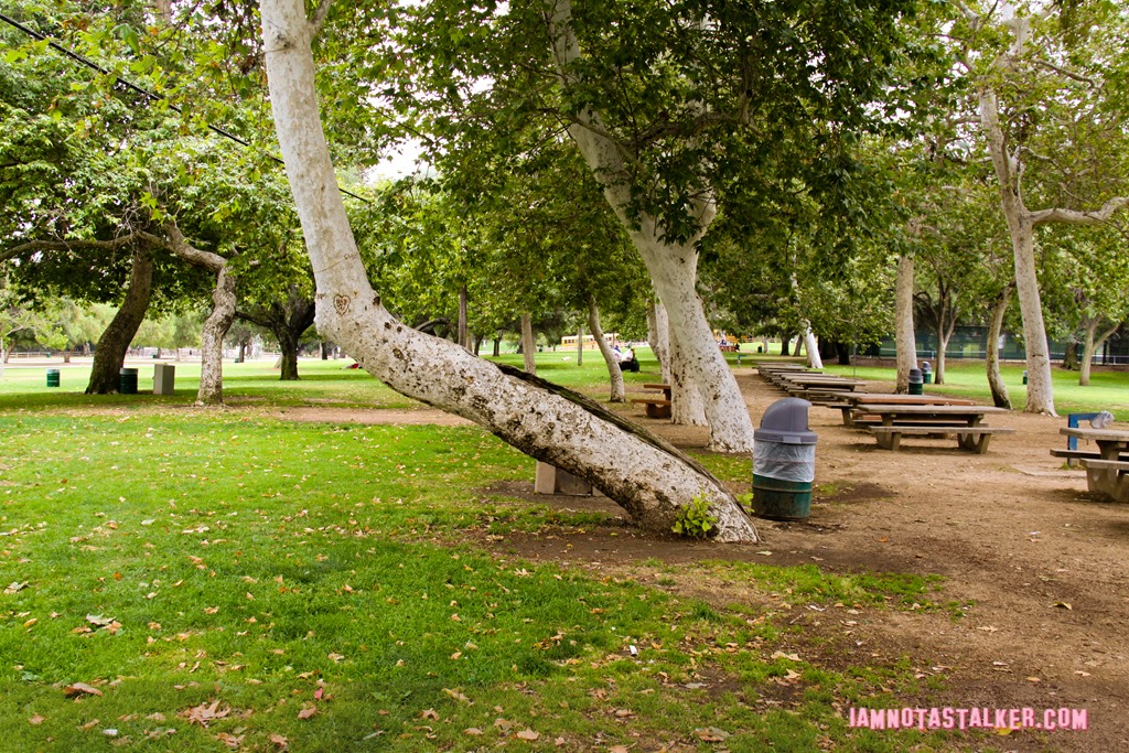 Girls Just Want to Have Fun Park (1 of 32)
