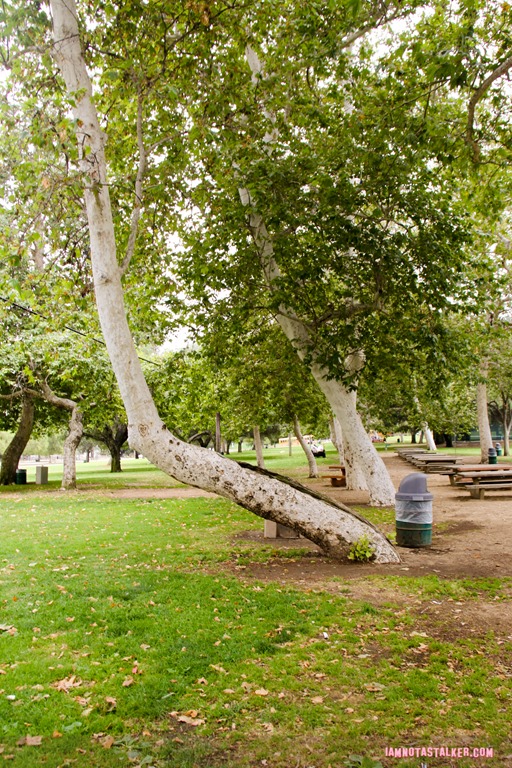Girls Just Want to Have Fun Park (3 of 32)