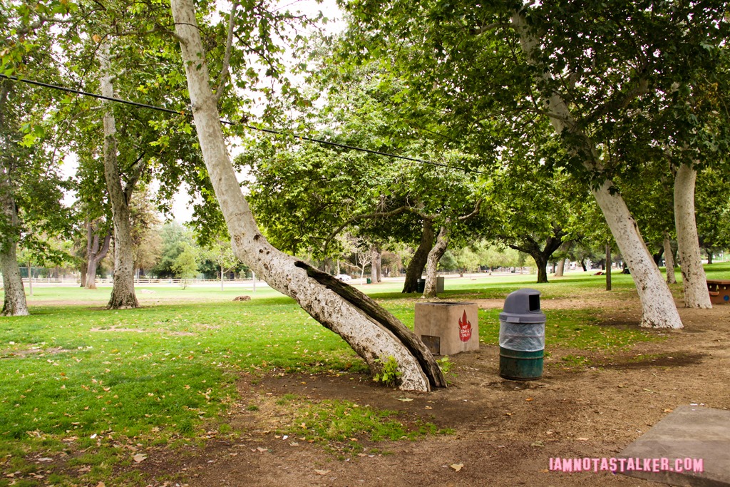Girls Just Want to Have Fun Park (4 of 32)