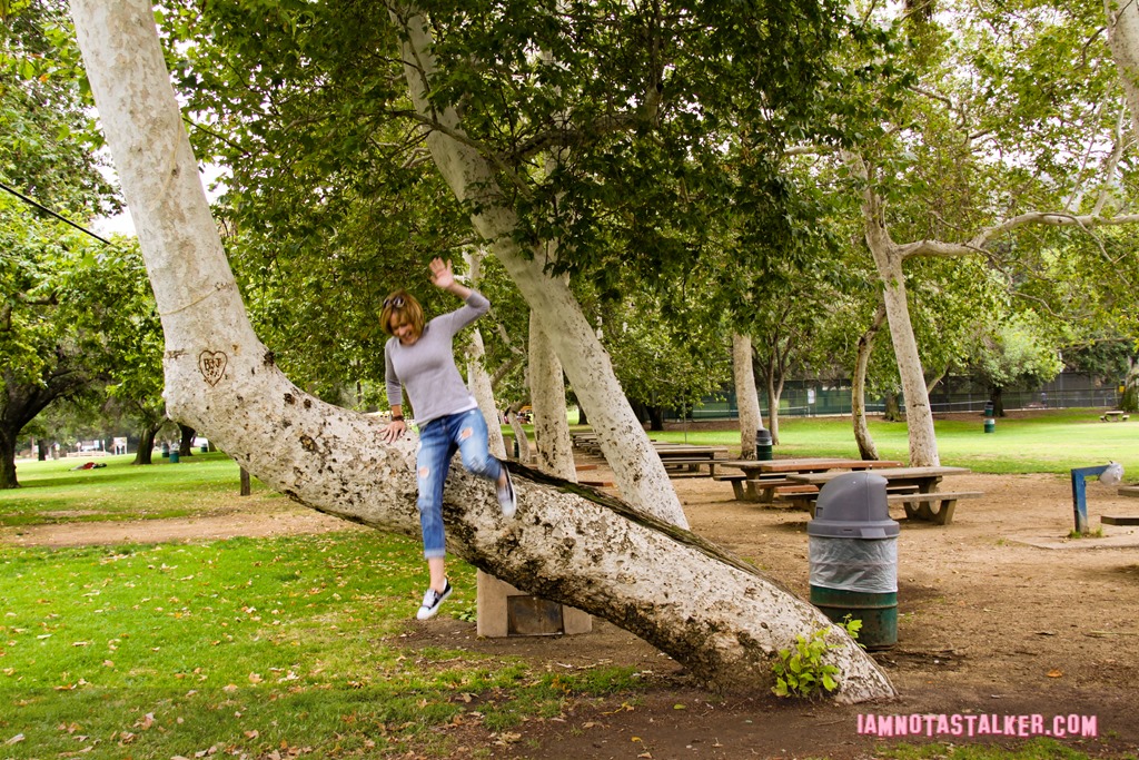 Girls Just Want to Have Fun Park (15 of 32)