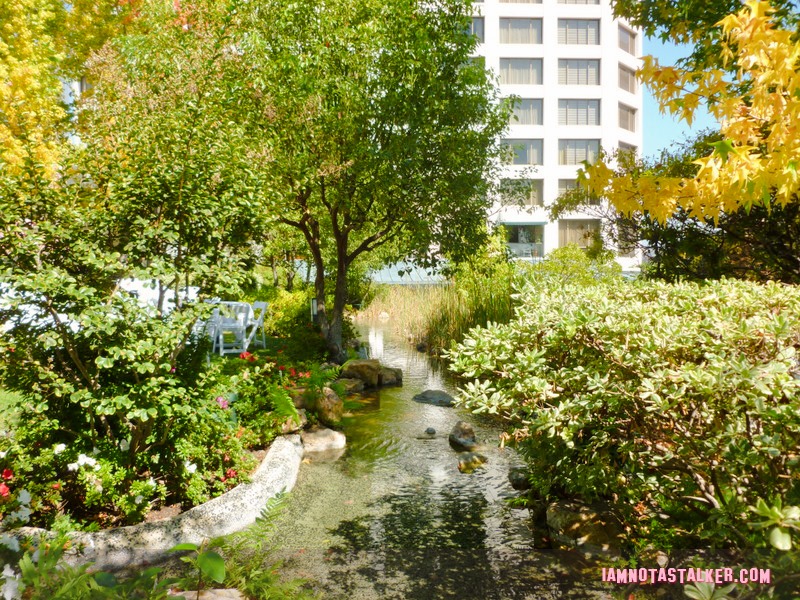 Kyoto Gardens Little Tokyo (3 of 3)