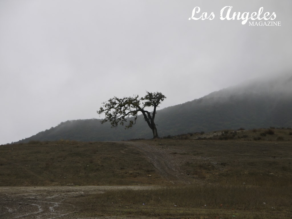 New “L.A.” Mag Post and BIG NEWS!