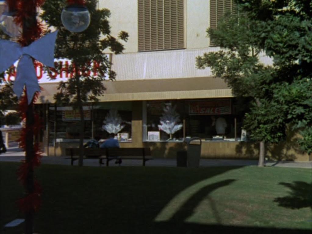 Brady Bunch Cap 4