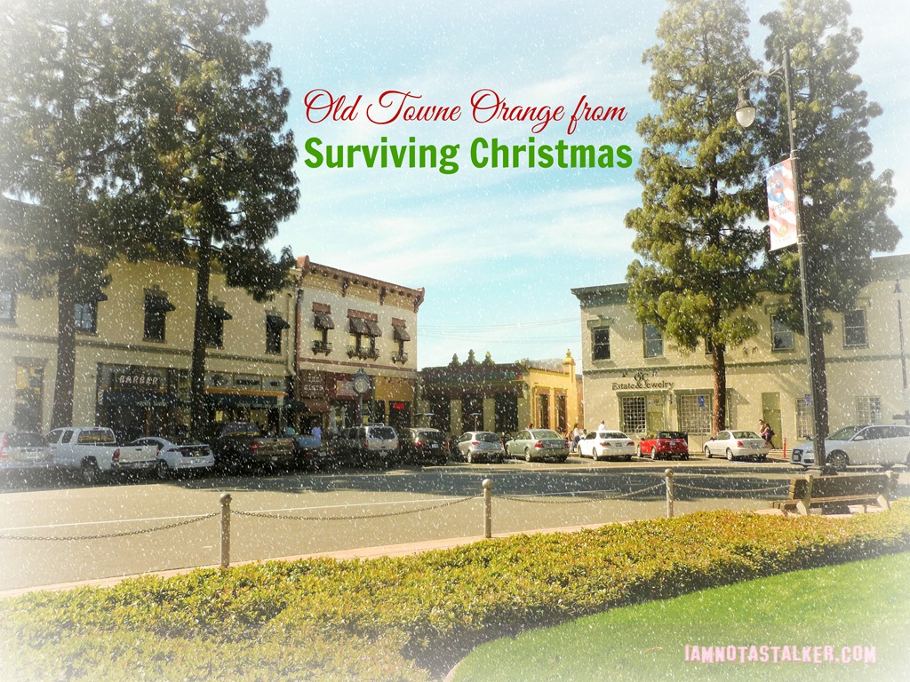 Old Towne Orange from Surviving Christmas-18