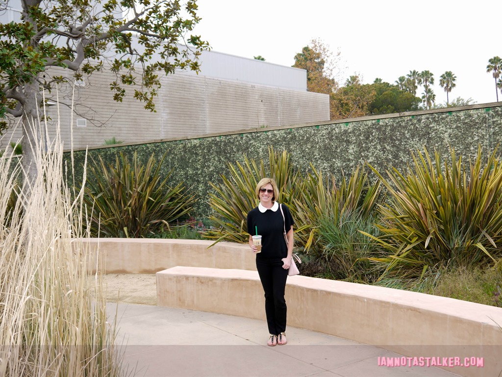 The “Say Anything . . . ” Amphitheatre
