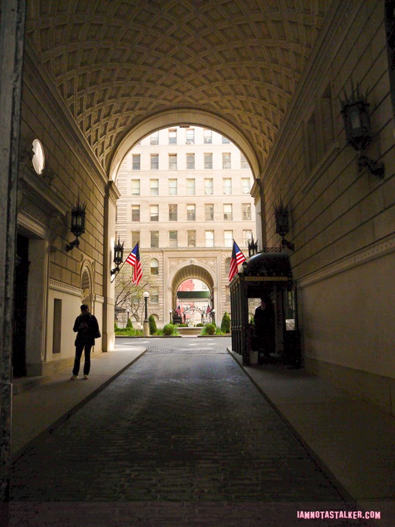 The Apthorp from Funny Farm-1140132