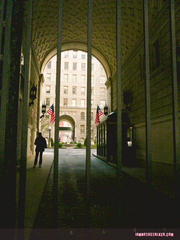 The Apthorp from Funny Farm-1140131