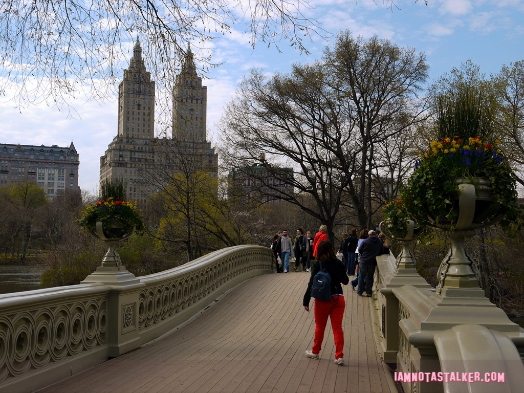 Bow Bridge from Glee-1140175