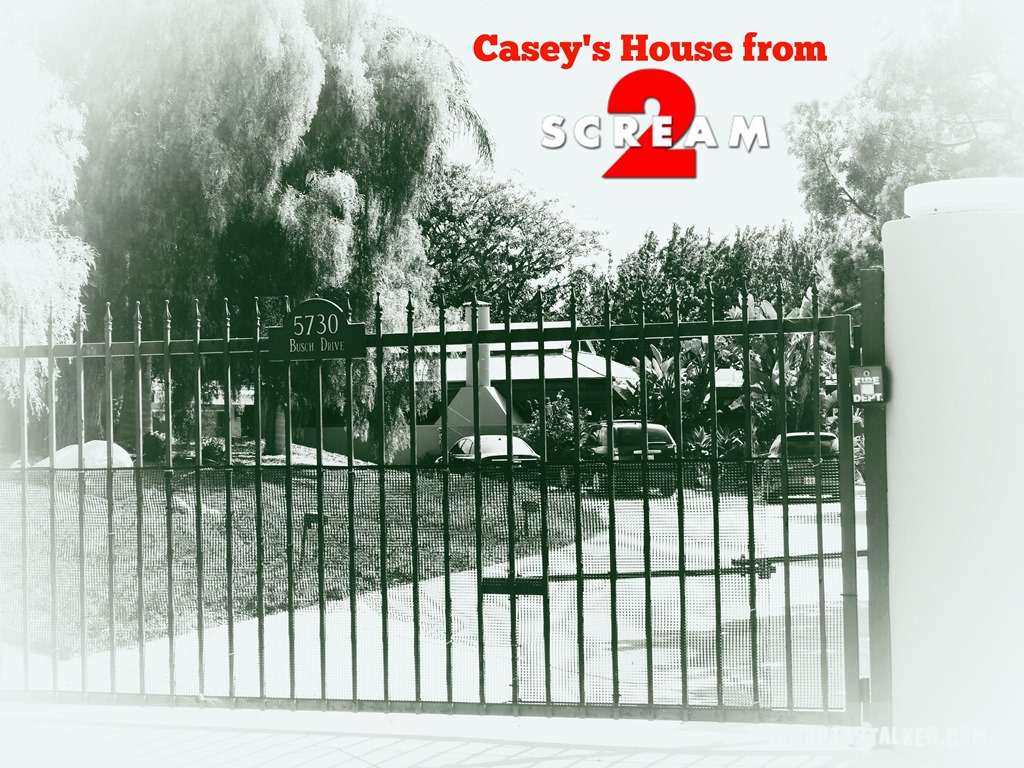 Casey'
