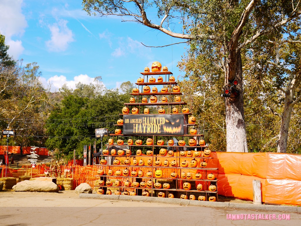 Halloween 2016-1190700