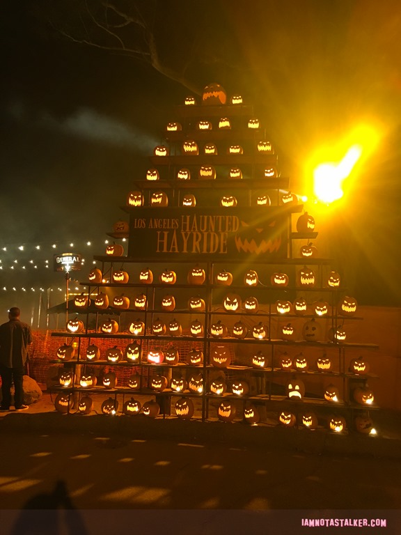 Halloween 2016-6781