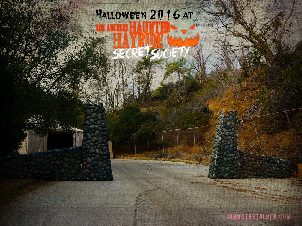 Halloween 2016-1190758