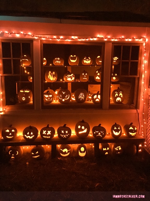 Halloween 2016-6782