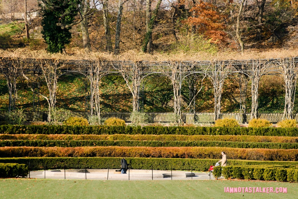 The Conservatory Garden from The Girl on the Train-0493