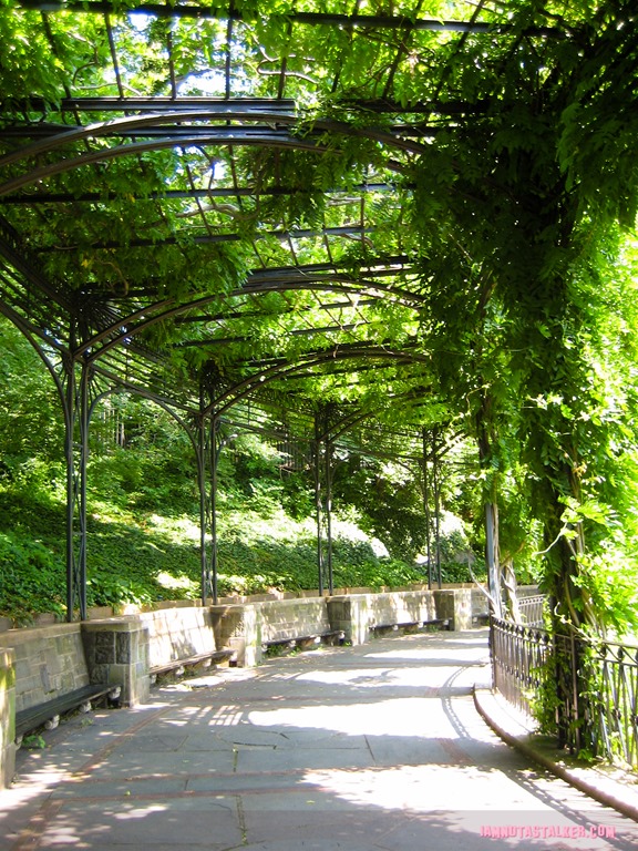 The Conservatory Garden from The Girl on the Train-1242