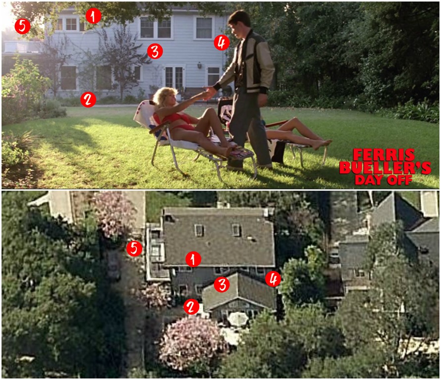 Backyard with Sunbathers Graphic