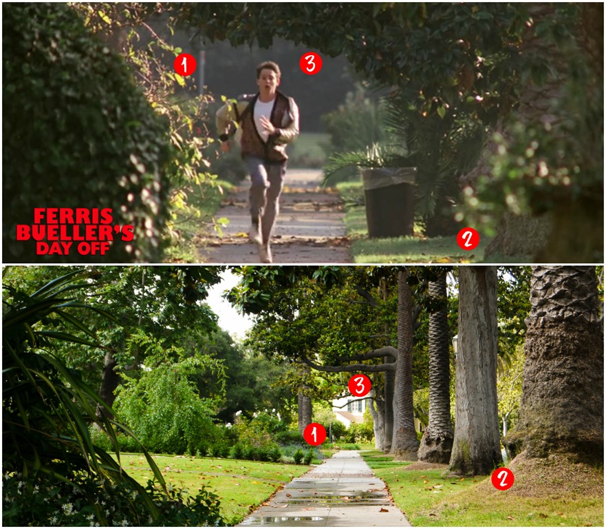 Ferris Runs Down a Sidewalk Collage