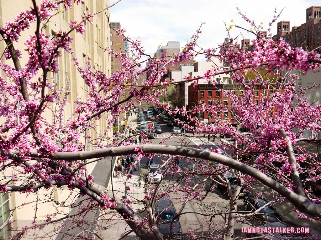 High Line from The Real Housewives of BH-1140492