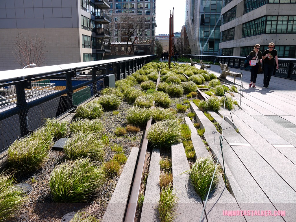 High Line from The Real Housewives of BH-1140491