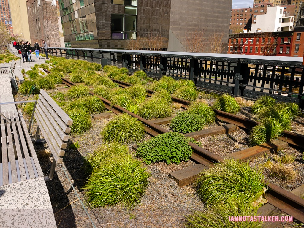 High Line from The Real Housewives of BH-1140485