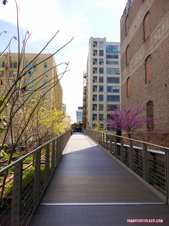 High Line from The Real Housewives of BH-1140495